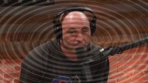 РЕАКЦИЯ ДЖО РОГАНА НА БОЙ ЗАБИТ МАГОМЕДШАРИПОВ БОЧНЯК UFC223