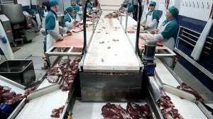 Обвалка мяса. Обвалочная линия.