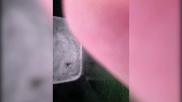 Rainy Days PT2 смотреть онлайн