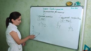 Физика. 10 класс. Механика. Основы кинематики.