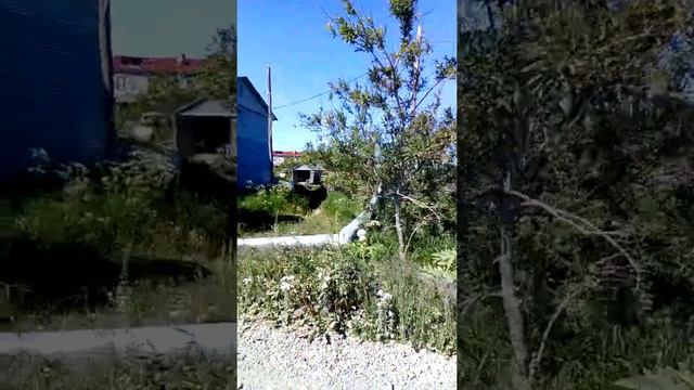 Путешествие по Камчатке (село Устьевое и Володя)