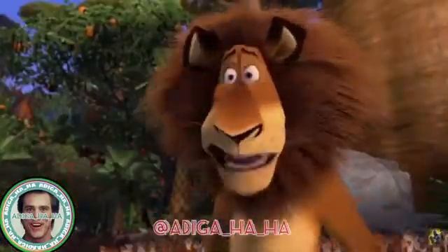 Мадагаскар на кабардинском смотреть онлайн