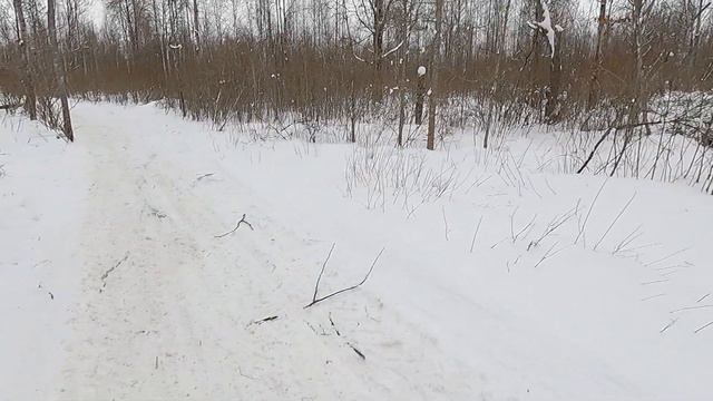 Охота с Добычем 06 02 2022 смотреть онлайн