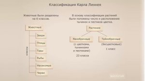 Что такое систематика