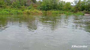 Речка  ,, Зай,, 🌳☀🦞🐟