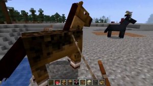 Can Minecraft Horses Go in Boats?