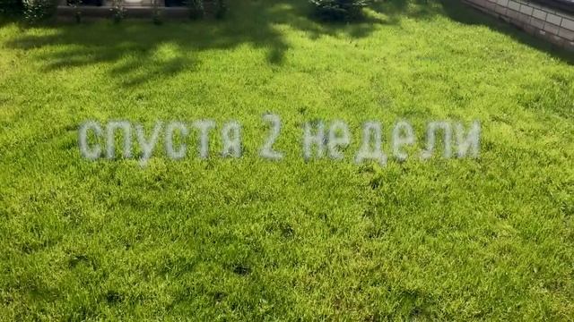Ремонт газона | Как я ремонтирую газон весной смотреть онлайн