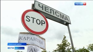 Из-за чумы свиней в Галичском районе Костромской области введен режим ЧС