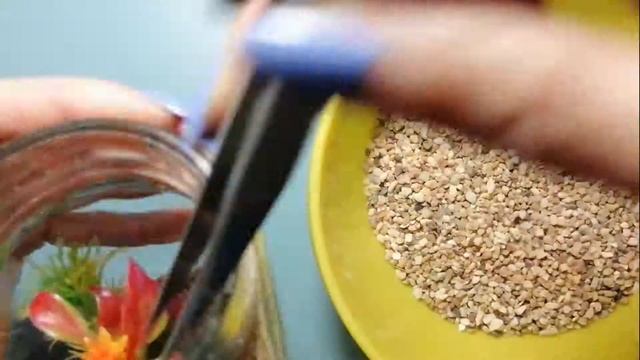 Аквариум в банке. Эпоксидная смола MG EPOX HARD / The aquarium in the pot. Epoxy resin MG EPOXY HAR смотреть онлайн