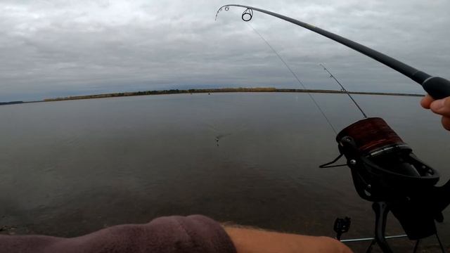 ЛОВЛЯ КРУПНОГО КАРАСЯ НА РЕКЕ Рыбалка на ФЛЭТ ФИДЕР Бешенный клёв карася смотреть онлайн