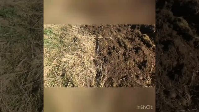 Т 40 Ам пахота целины смотреть онлайн