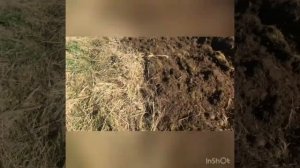 Т 40 Ам пахота целины