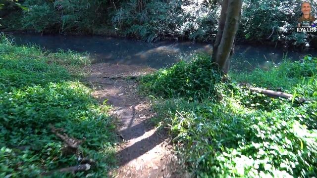 Чисто австралийский зверь! (видео 453) смотреть онлайн