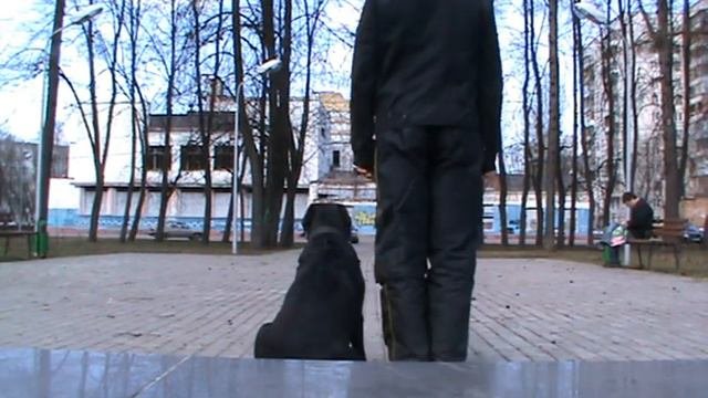 выборка тренировака