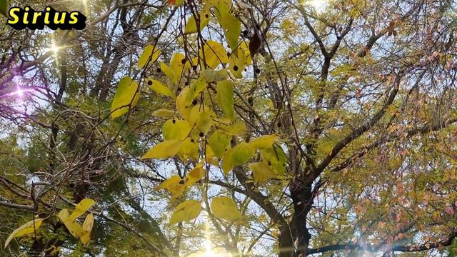 20 ноября – Федотов день: что категорически нельзя делать смотреть онлайн