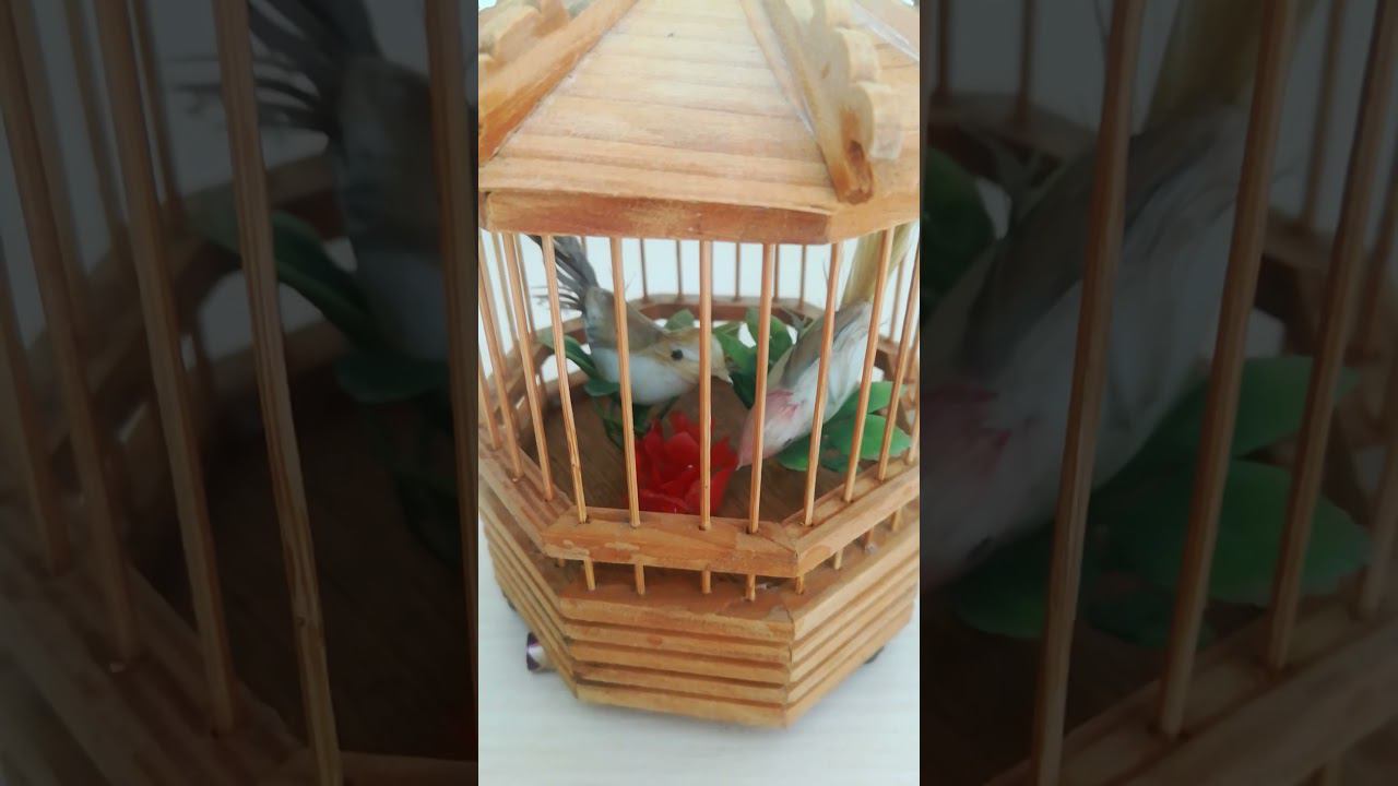 Велимир Хлебников. Птичка в клетке. (читает Екатерина Тоборовец, Заслуженная актриса ВО) смотреть онлайн