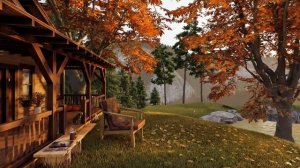 Autumn Cozy Porch in Forest by the Lake Ambience with Falling Leaves, Birdsong & Water Waves Sounds