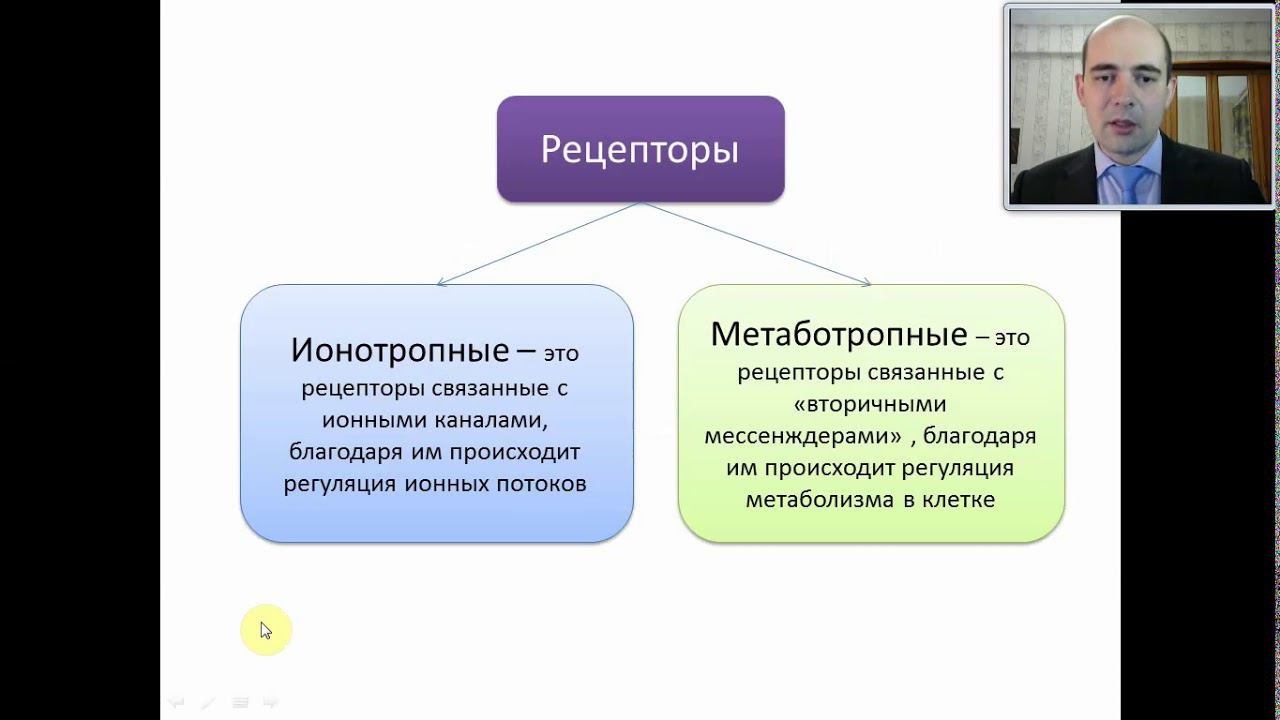 3  Общая психофармакология