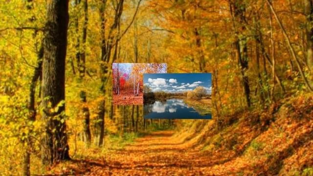 Краски осени