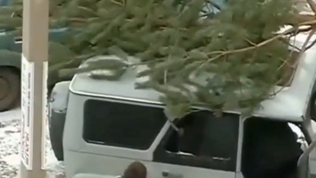 Остались без ёлочки! Беспредел Полиции. Брянская область. Брянск. Унеча смотреть онлайн