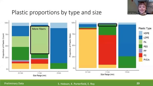 VORS 2023: Microplastics in composts, digestates, and food wastes: Findings from Vermont and beyond смотреть онлайн