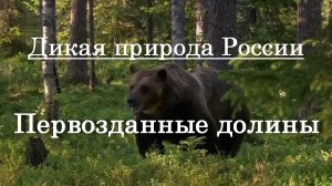 Дикая природа России - Первозданные долины