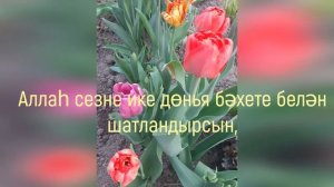 Туган кон