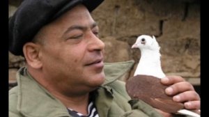 Роза.(Беломорканал.)