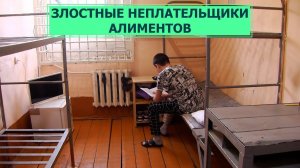 Какое наказание понесут злостные неплательщики алиментов. Право знать 27.06.23