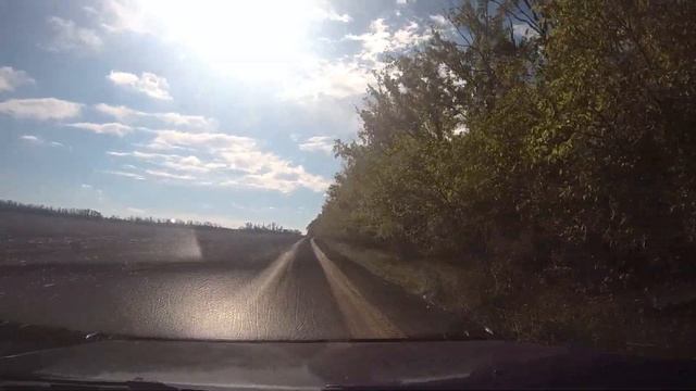 ПРОХОРОВКА -ДОНЛЕСХОЗ (поиск грибов)/#3 -Октябрь -2022
