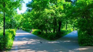 Где купить квартиру в Москве? ТОП лучших районов для жизни. Хорошевский район.