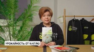 Тыква ВОЛЖСКАЯ СЕРАЯ 92 | #тыква  #огород #рассада #семена #семенамаркет