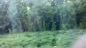 Перегон Луч - Шарапова Охота