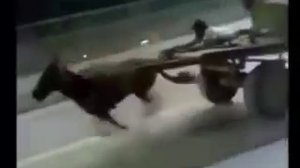 Когда бахнул бутылку пива