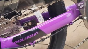 POLYGON ZETA 2 urban style....smooth ride