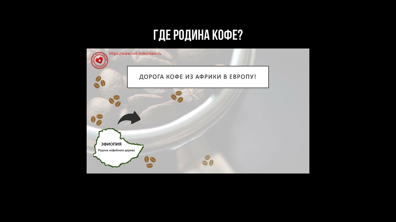 Где родина кофе? смотреть онлайн