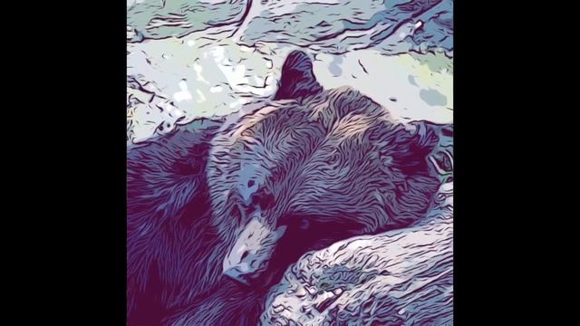 Сказка Лео. Про Мишку-Топтыжку и мудрую сову. смотреть онлайн