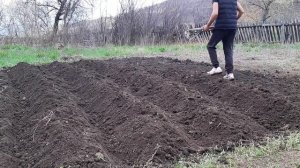Вскапываем Огород|Сажаем Зелень|Это Вдохновение