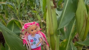 24 ЧАСА ЕДЕМ НА МАШИНЕ НА МОРЕ!!! Катя и Макс веселая семейка! Смешные куклы Барби истории Даринелк