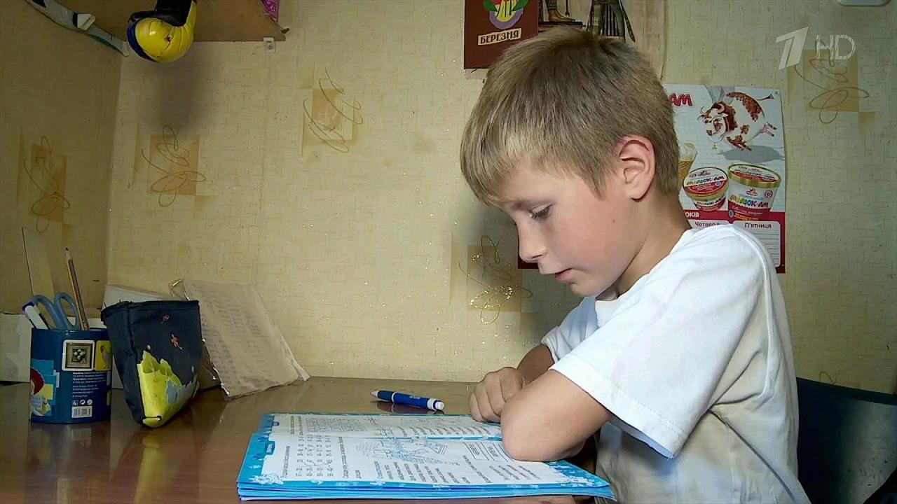Новую версию истории будут изучать с 1 сентября школьники на Украине
