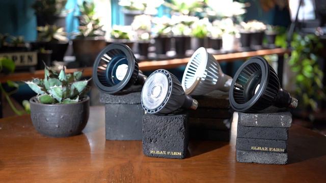 植物育成LEDライト【Helios Green LED HG24（ヘリオスグリーンLED)】レビュー｜AMATERAS・TSUKUYOMI・HASU 38 spec9との比較あり смотреть онлайн