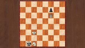 Тест на разряд в шахматах. 11 из 17. Шахматные задачи мат в 2 хода. Шахматы. Решение задач.