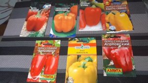 ?Эти перцы я больше никогда в жизни не посажу!!! ?Обзор ужаснейших семян перцев на 2022 год