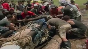 10 САМЫХ АНОМАЛЬНО БОЛЬШИХ ЖИВОТНЫХ в МИРЕ (док.фильм)