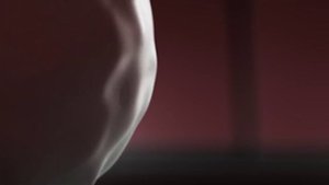 Holly Dolly Dolly Song Зоодиско! DV MUSIC Trap mix of Video