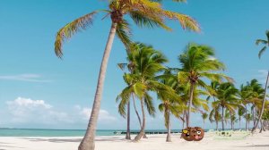 Лучшие пляжи Доминиканы - Пляж Хуаниййо - посетите лучшие пляжи Пунта Каны Доминиканская Республик