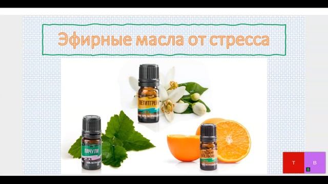 "Ароматный стресс" (28.07.2021) смотреть онлайн