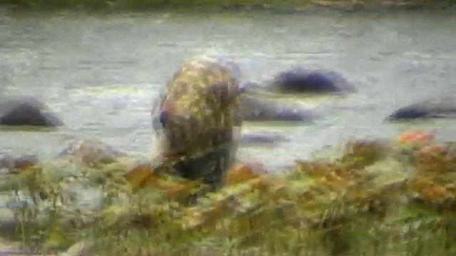 Ловля хариуса на р. Улс (Fishing grayling)