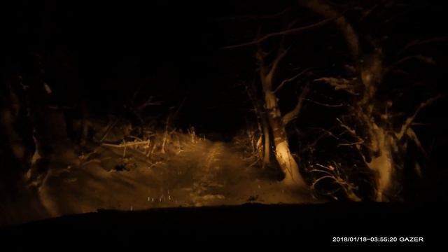 Лес , снег, Subaru Forester смотреть онлайн