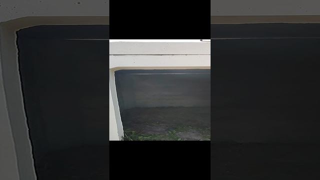 Поездка в Шебекино